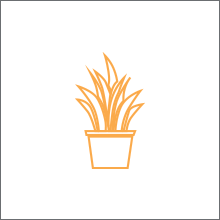 Garden Terracotta Pots