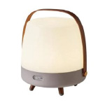 Lite Up Photophore earth